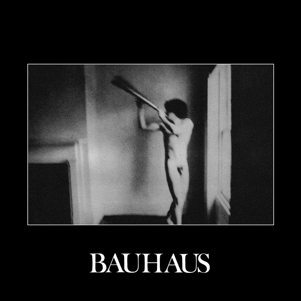 Bauhaus---In-The-Flat-Field