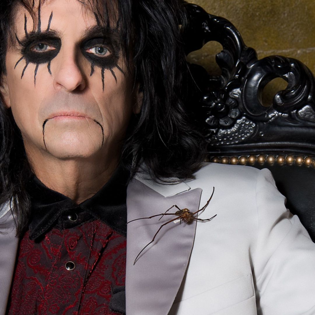 Элис купер перевод. Alice Cooper. Cooper Alice "Dragontown". Alice Cooper Dragontown 2001.