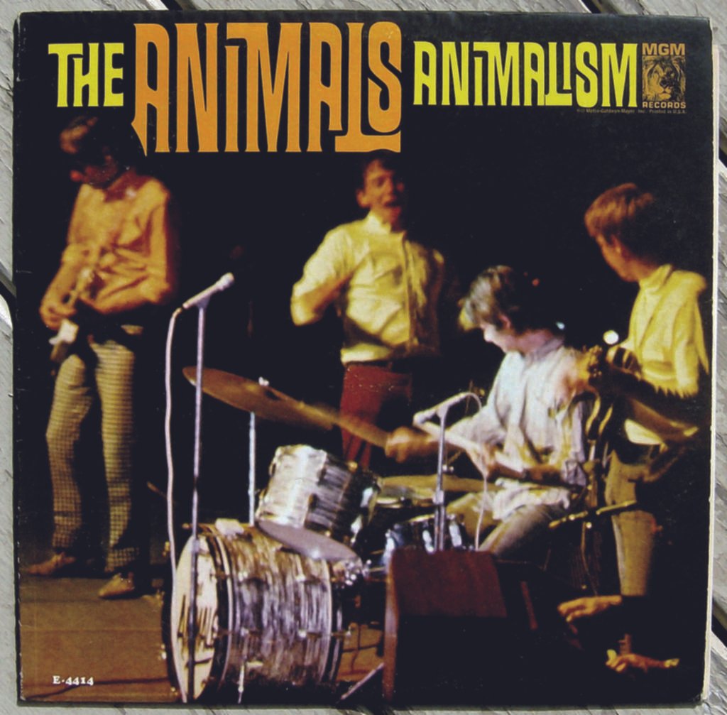 Live: THE ANIMALS & STEVE CROPPER sowie FAMILY