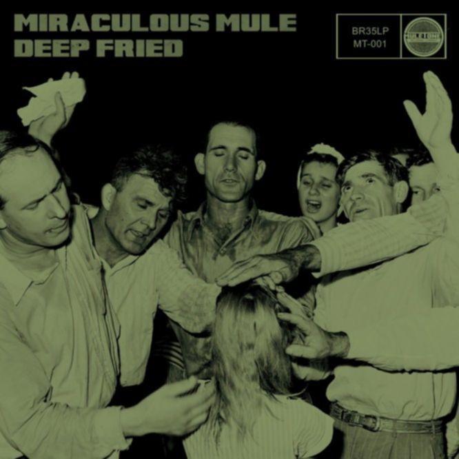 Miraculous Mule