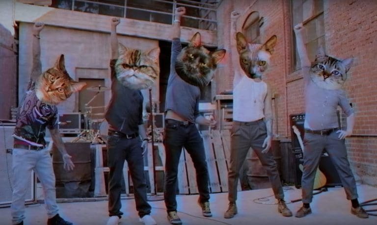 Incubus: Hier das Video zu ›Nimble Bastard‹ sehen