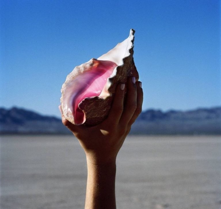 The Killers – WONDERFUL WONDERFUL