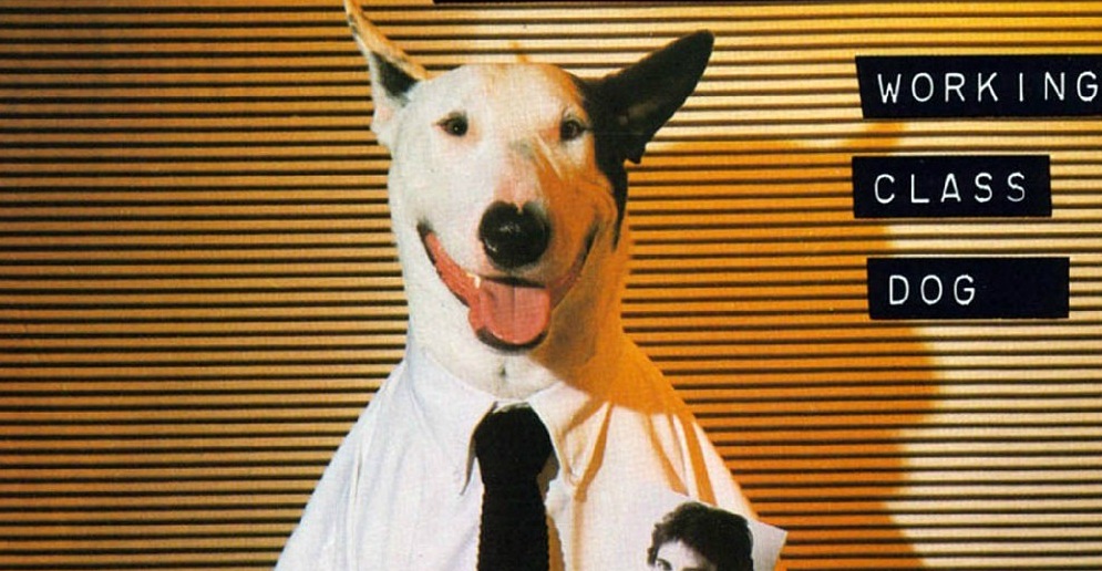 Rick Springfield: Working-Class-Dog