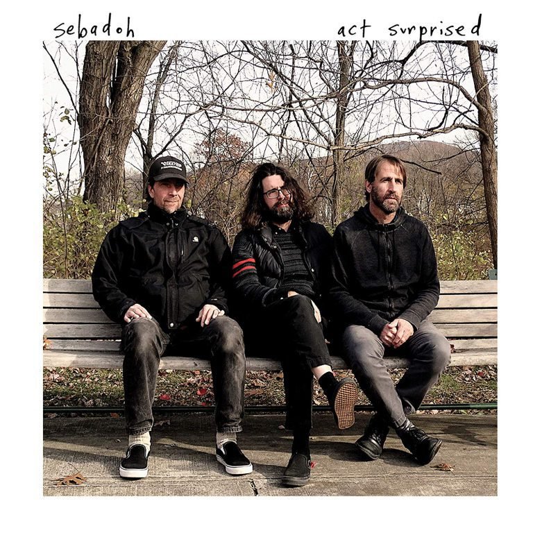 Sebadoh – ACT SURPRISED