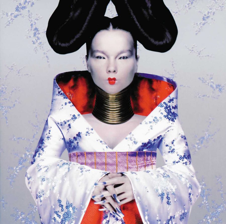 Björk Homogenic