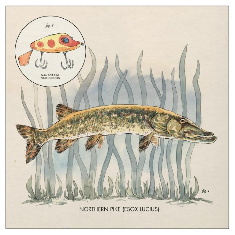 Nick Lowe – LAY IT ON ME