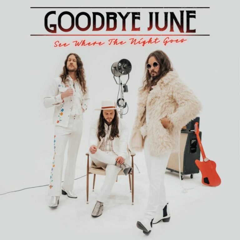 Goodbye June: SEE WHERE THE NIGHT GOES