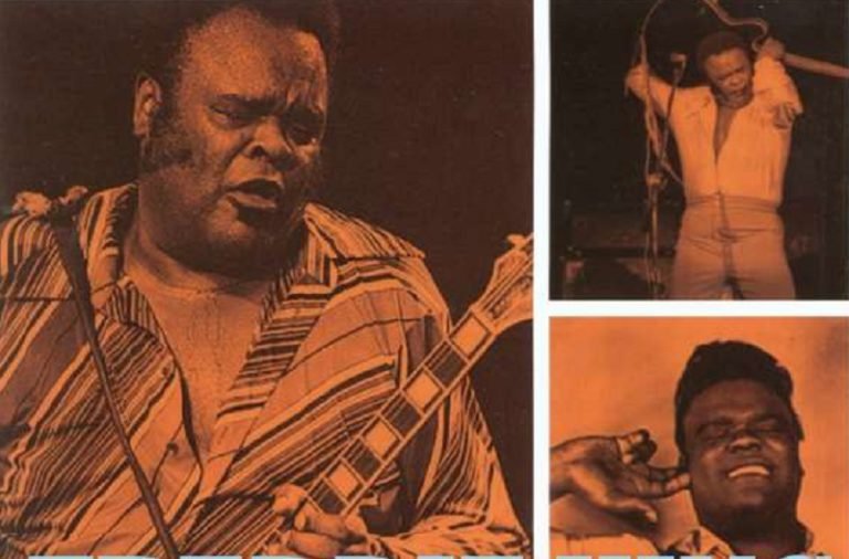Gitarrenhelden: Freddie King